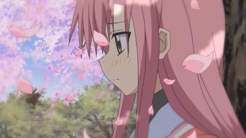 Picture 7 in [Happy Birthday Katsura Hinagiku!]