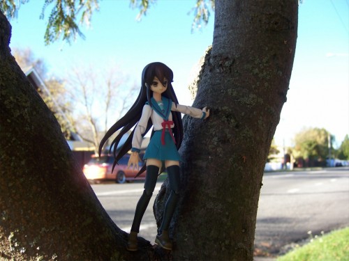 Picture 4 in [Picking Shana up from school.]