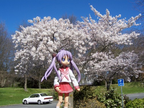 Picture 1 in [Hanami with Kagami]