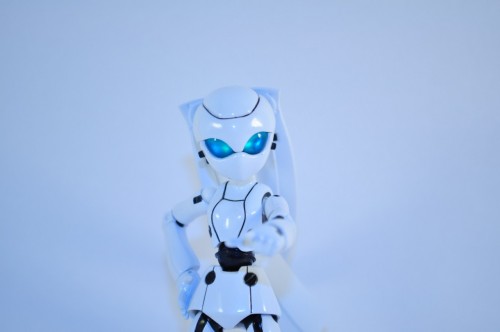 Picture 7 in [Figma Drossel]