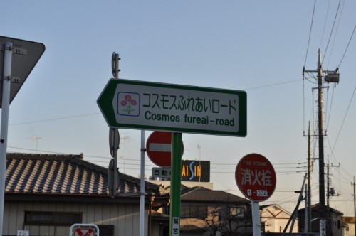 Picture 5 in [Lucky Star Pilgrimage: Washinomiya Shrine]