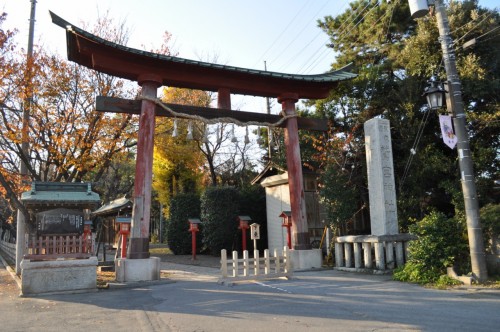 Picture 9 in [Lucky Star Pilgrimage: Washinomiya Shrine]