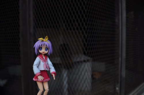 Picture 25 in [Lucky Star Pilgrimage: Washinomiya Shrine]