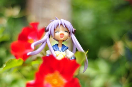 Picture 1 in [Summer Flowers with Kagami]