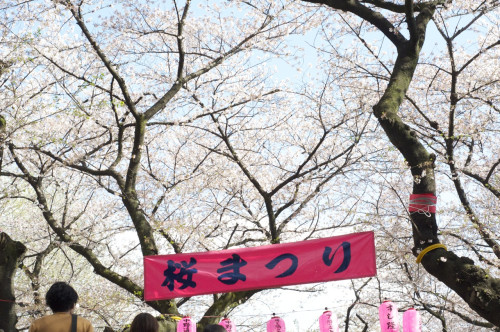 Picture 5 in [Hanami with Kagami Day 1]