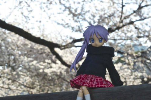 Picture 19 in [Hanami with Kagami Day 1]