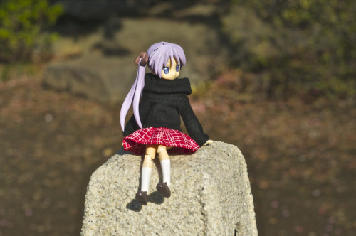 Picture 15 in [Hanami with Kagami Day 1]