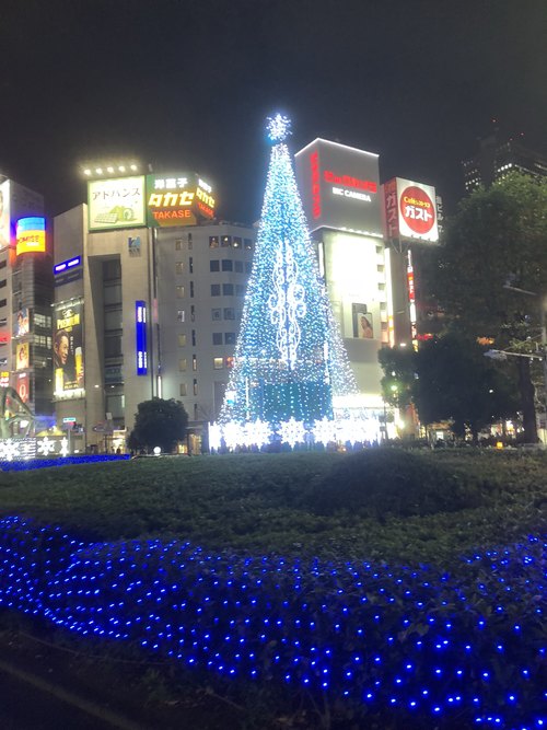 Picture 3 in [Christmas Illuminations in Japan]